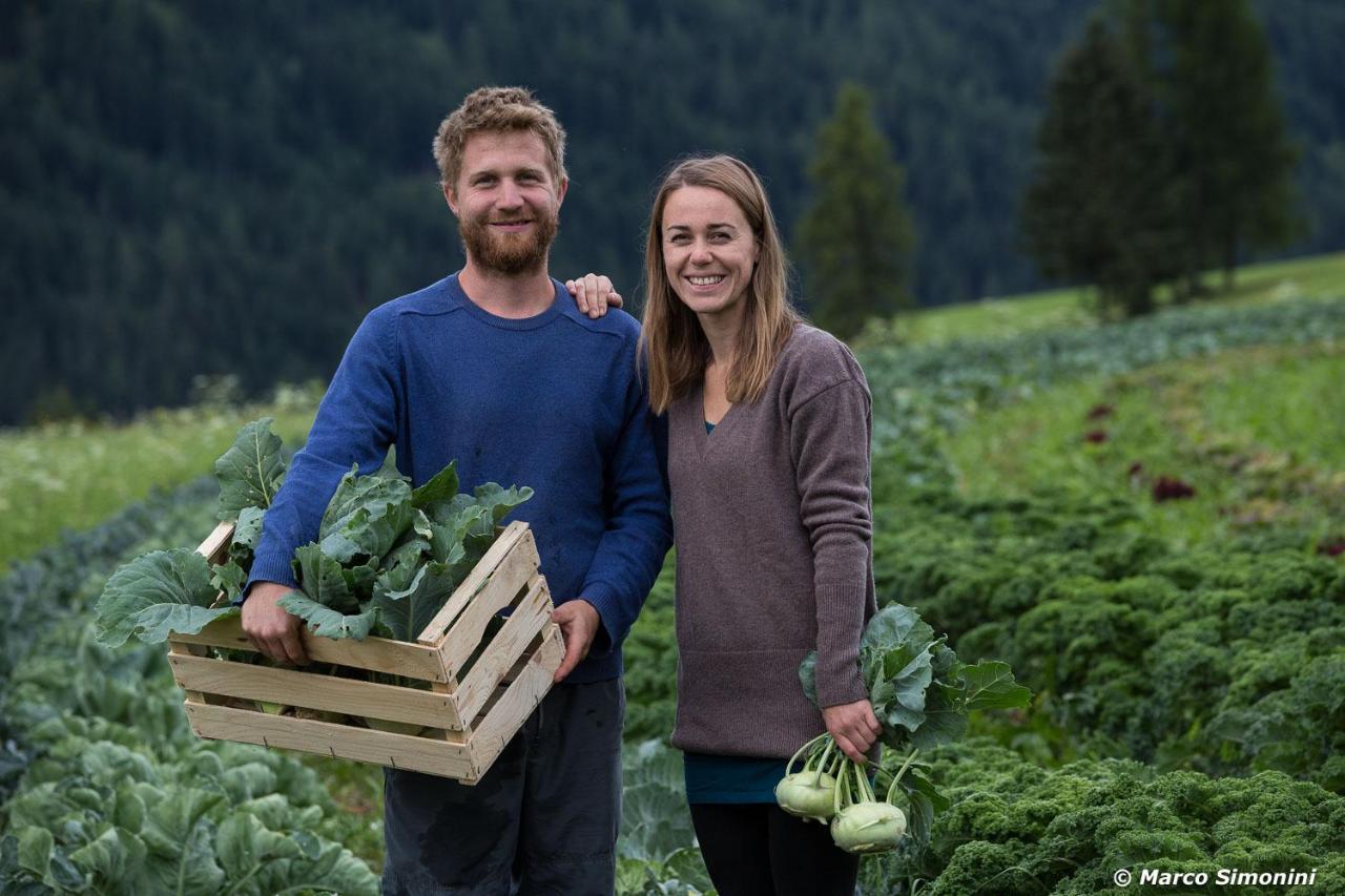 Agriturismo Soreie - Farmstay Vigo di Fassa Dış mekan fotoğraf